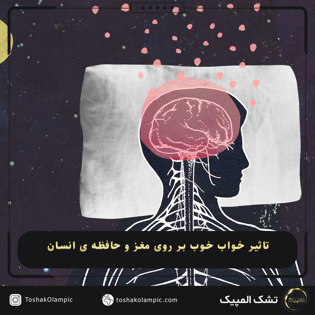 تاثیر خواب خوب بر روی مغز و حافظه ی انسان